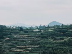 -乌石村