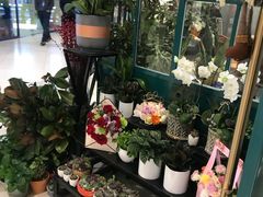 -BOBLOOM花店(宝龙旭辉广场店)