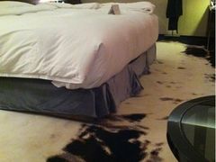 iphone_upload_pic-广州天河希尔顿酒店