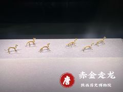 -陕西历史博物馆