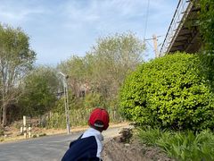 -永定河休闲森林公园