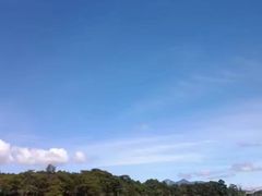 -100蛋泥浆浴