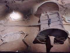 -洛阳周王城天子驾六博物馆