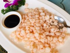 清溜虾仁-新聚丰菜馆(太监弄店)