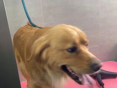 -宠福鑫康馨动物医院·骨科·眼科