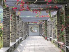 -龙寺生态园