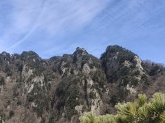 -王顺山国家森林公园