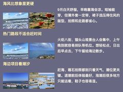 -幸福门