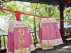 -丰都鬼城名山景区