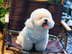 -J Create城市露营咖啡·简餐·宠物(上海动物园店)