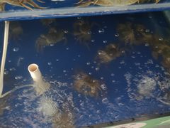 -阳澄湖大闸蟹·琼灵阁牌品牌连锁(吴中总店)