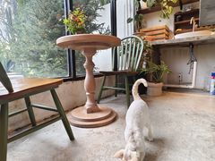 -自由生长植物工作室(深港花卉中心店)