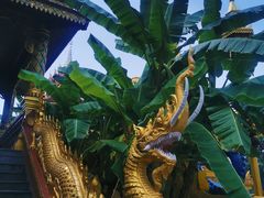 -西双版纳总佛寺