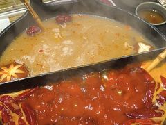 -大龙燚·旷野鲜火锅(广州首店)