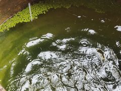 -南京市江宁方山