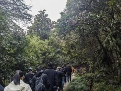 -黄山翡翠谷景区