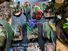 -恋物百货商店(华侨城店)