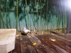 -春记潮汕牛肉火锅
