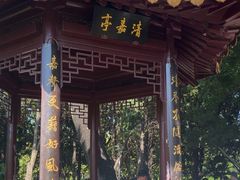 -嘉定紫藤园