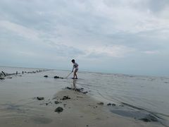 -红树林天天赶海