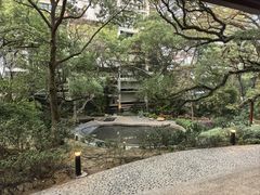 -香港大学
