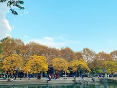 -星巴克(西湖天地店)