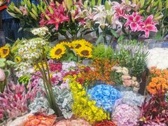 -朝来春花卉市场