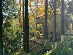 -莫干山风景区