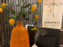 -Dragonfly悠庭·按摩Spa(浦东嘉里城店)