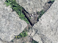 -天津盘山风景名胜区