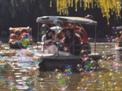-团结湖公园