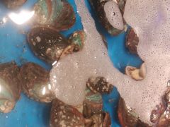 -SEA西雅图海鲜自助餐厅(海乐世界店)