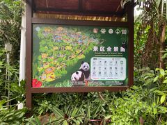 -海南热带野生动植物园