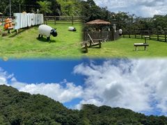 -龙岩森林水乡景区