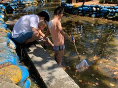 -武汉紫薇都市田园