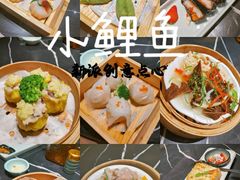 -岭南站NOVA