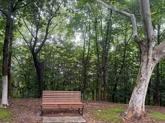 -宜兴龙背山森林公园