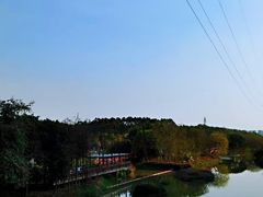 -广东花都湖国家湿地公园
