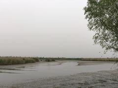 -白洋淀景区