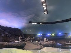 -新加坡飞禽公园