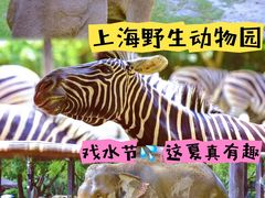 -上海野生动物园