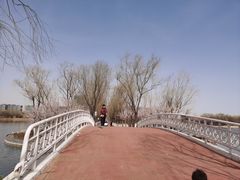 -大兴滨河森林公园