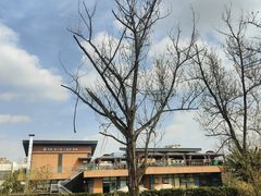 -两河城市森林公园