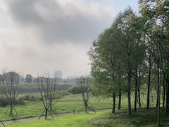 -苏州湾体育公园