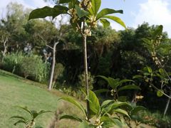 -昆山城市生态森林公园