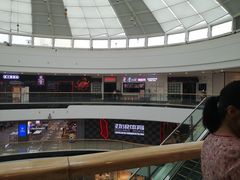 -李子坝梁山鸡(北碚万达五鸡哥店)