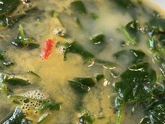 -四海酒家生态粤菜