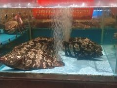 -阿伟海鲜楼·福建菜(延寿店)