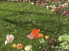 -好利来(紫竹院店)