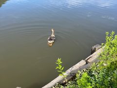 -大九湖